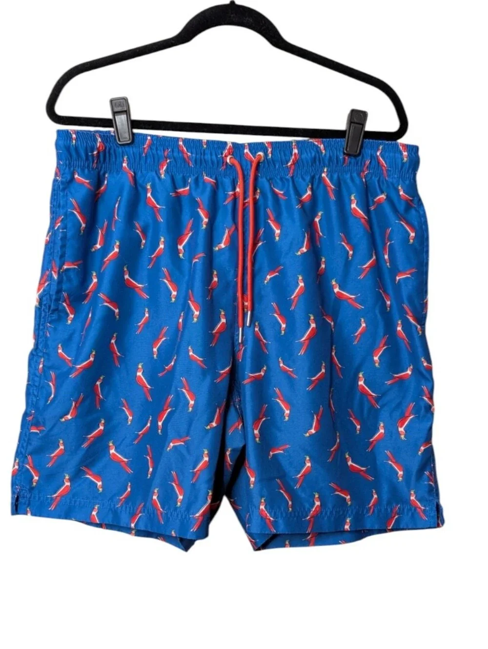 Lands' End Men's Blue Swim shorts Trunks Parrot Bird Print tropical size Large